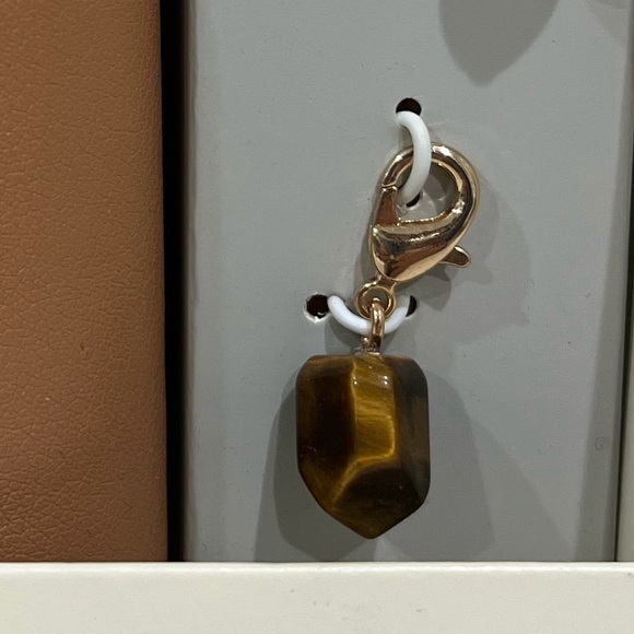 Clearance! ⚠️ NWT A New Day Caramel Ear Bud Case with Charm Set - Picture 7 of 9